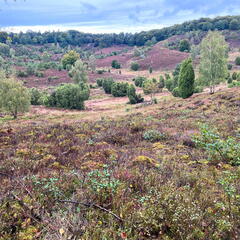 23-09-13 15-37-29 6845